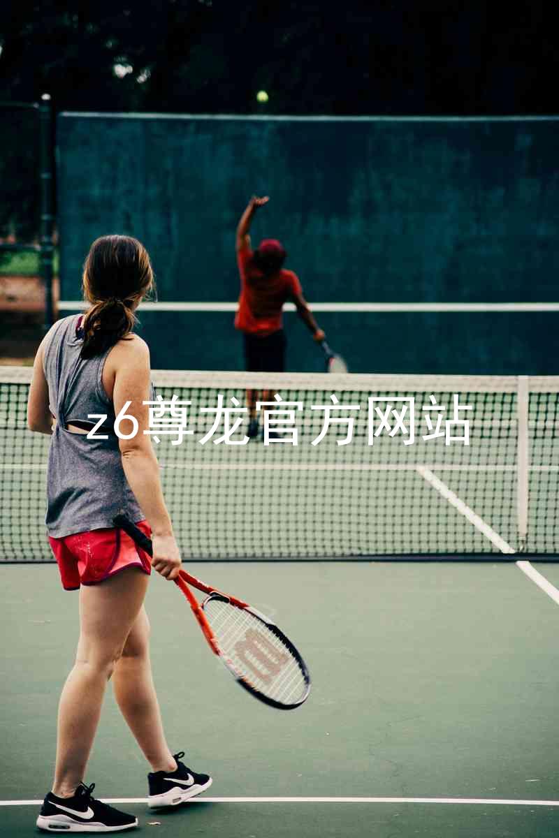 z6尊龙官方网站