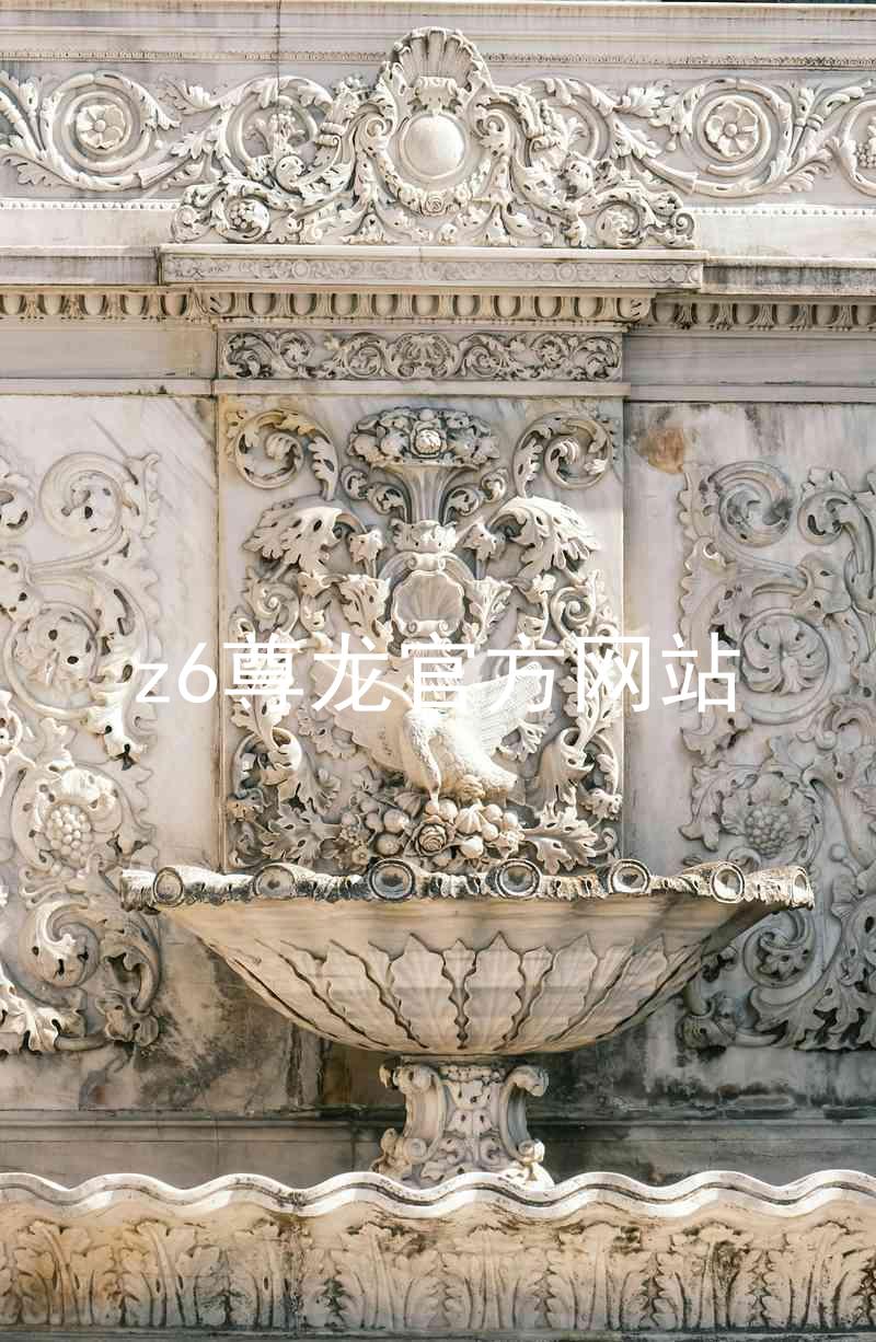 z6尊龙官方网站