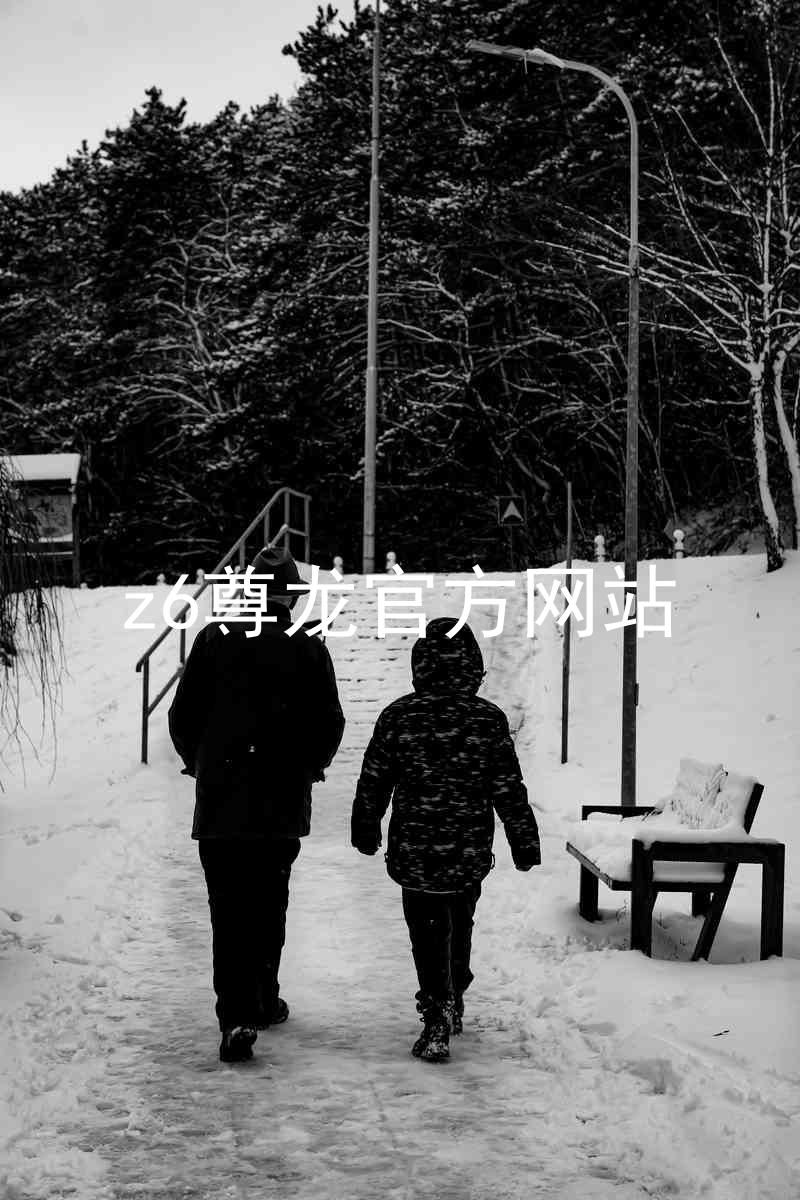 z6尊龙官方网站